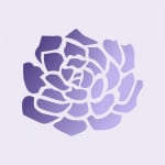 Zany Succulents Icon Logo
