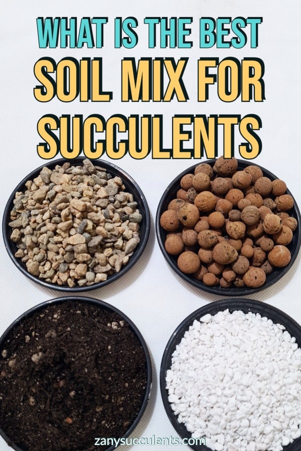 What is the best soil mix for succulents