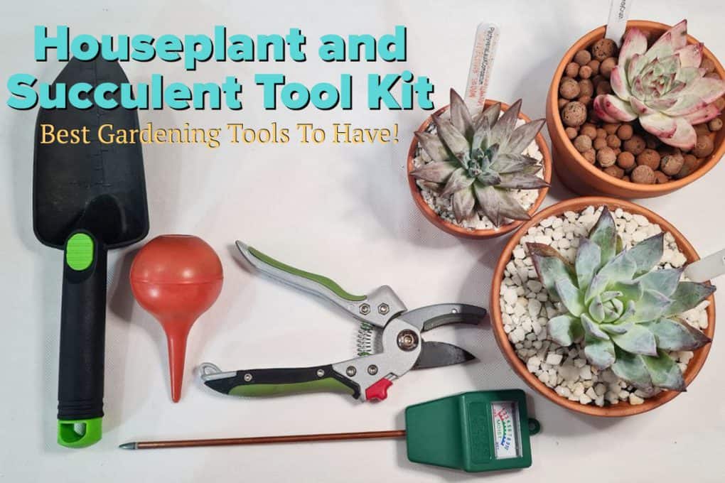 Houseplant and Succulent Tool Kit