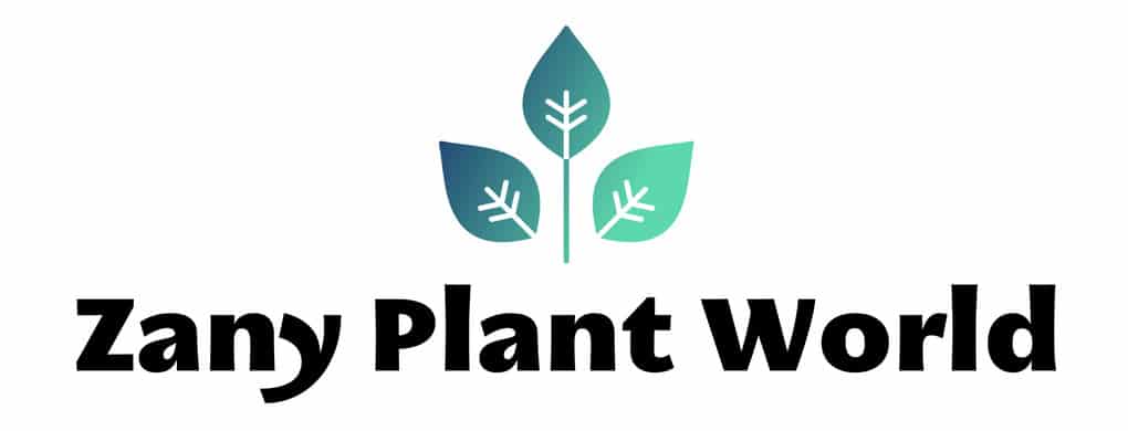 Zany Plant World