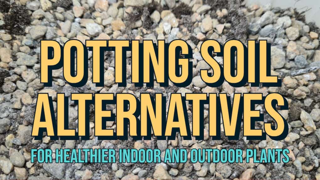 Potting Soil Alternatives for Healthier Indoor and Outdoor Plants feat