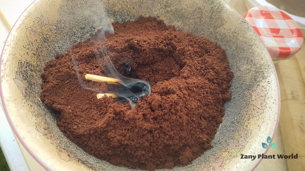 Coffee Grounds Organic Fertilizer