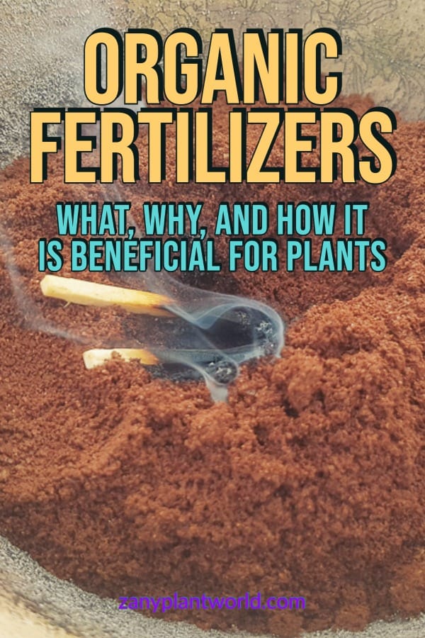 Organic Fertilizers What, Why, and How it is Beneficial for Plants