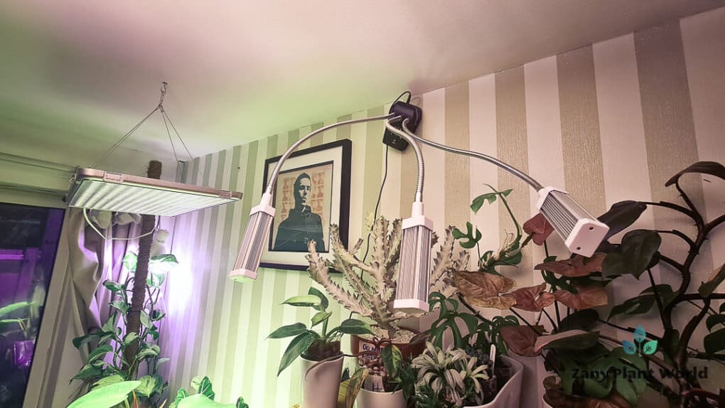 Plant Grow Lights