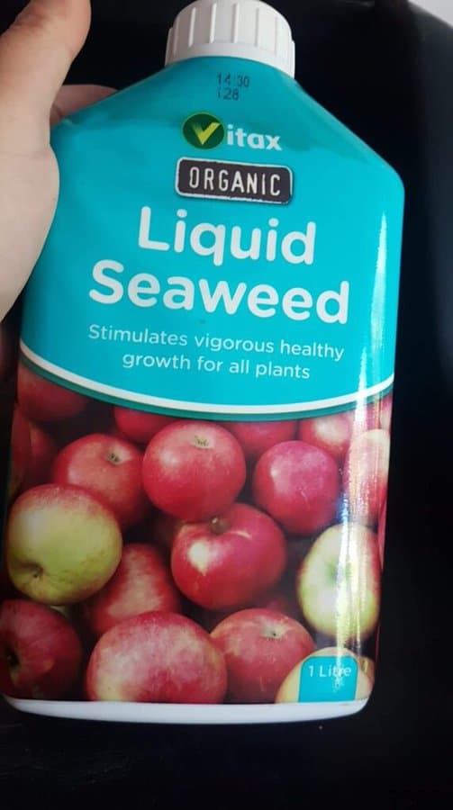 Seaweed Fertilizer