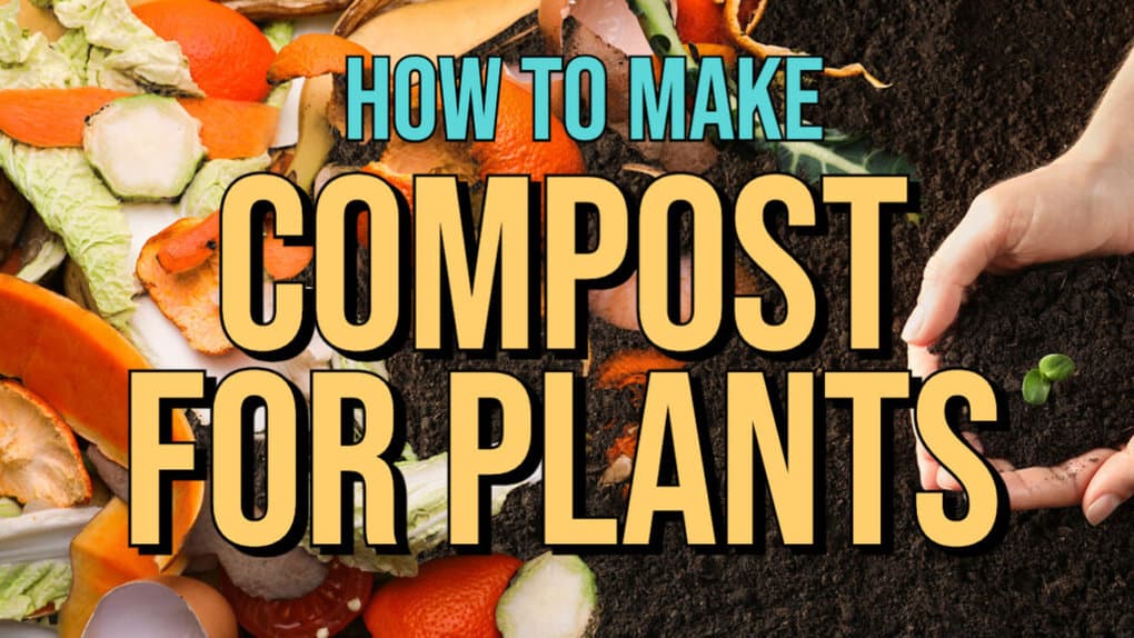How to Make Compost for Plants feat