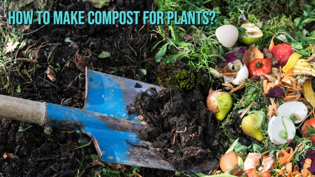 How to Make Compost for Plants in Detailed Guide
