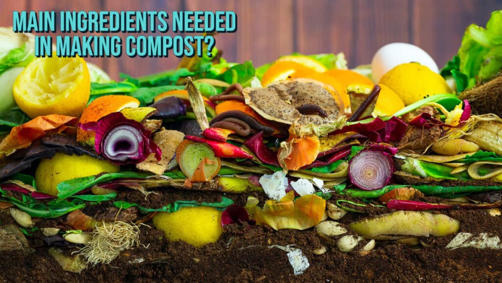 Main ingredients on how to make a compost